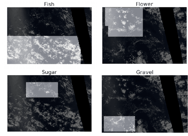 Figure 1 for Classification and understanding of cloud structures via satellite images with EfficientUNet