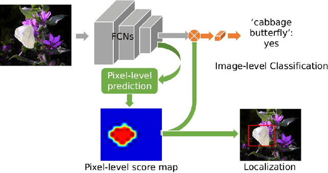 Figure 1 for Global Weighted Average Pooling Bridges Pixel-level Localization and Image-level Classification