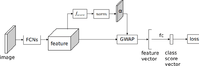 Figure 3 for Global Weighted Average Pooling Bridges Pixel-level Localization and Image-level Classification