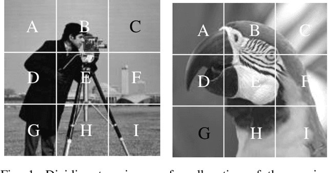 Figure 1 for Multi-Channel Deep Networks for Block-Based Image Compressive Sensing