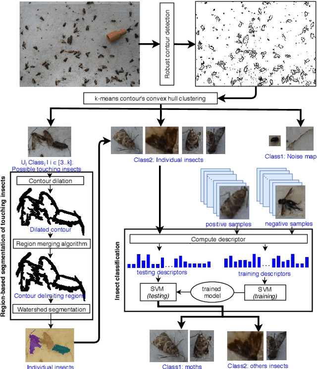 Figure 2 for Support Vector Machine (SVM) Recognition Approach adapted to Individual and Touching Moths Counting in Trap Images