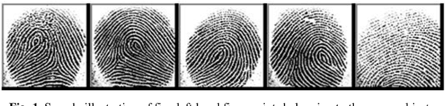 Figure 1 for Sokoto Coventry Fingerprint Dataset