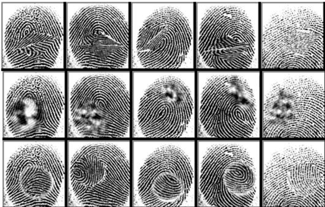 Figure 2 for Sokoto Coventry Fingerprint Dataset