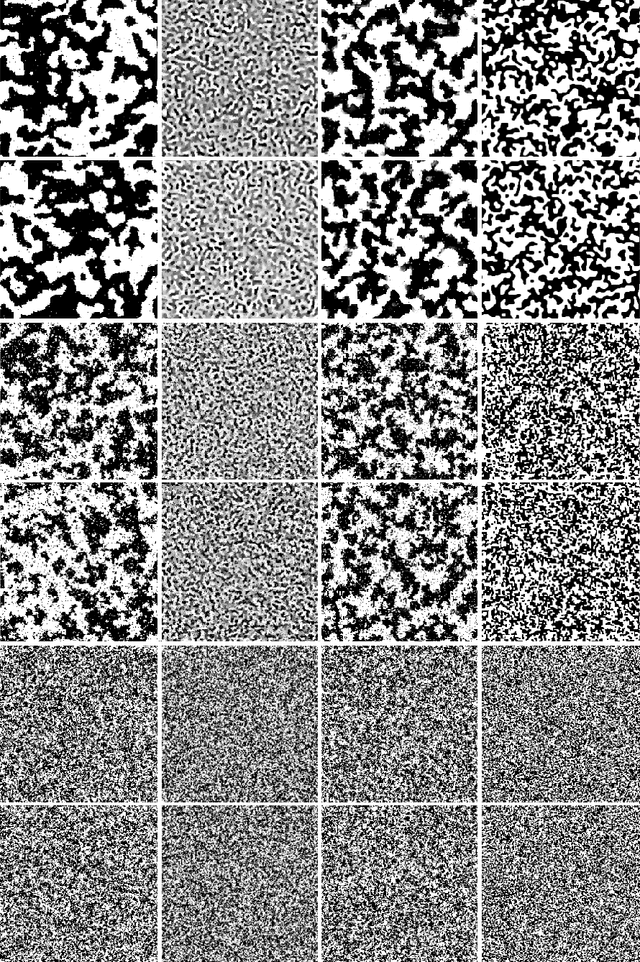 Figure 1 for Multiscale Sparse Microcanonical Models