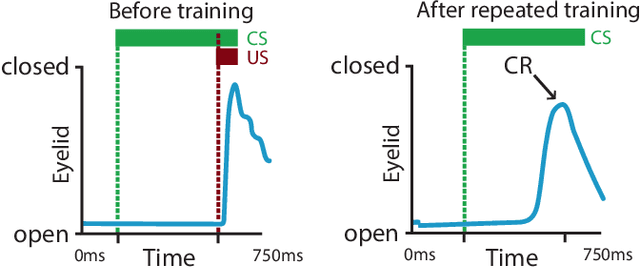 Figure 2 for Privacy-Preserving Object Detection & Localization Using Distributed Machine Learning: A Case Study of Infant Eyeblink Conditioning