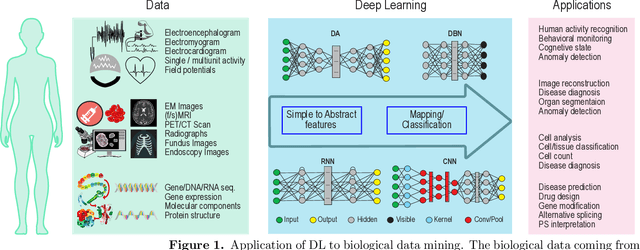 Figure 1 for Deep Learning in Mining Biological Data