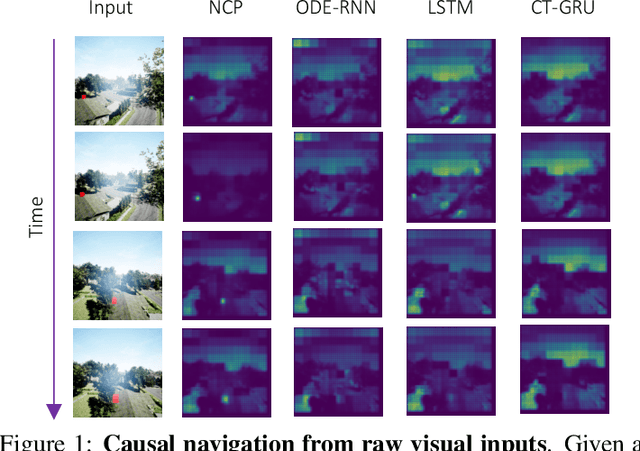 Figure 1 for Causal Navigation by Continuous-time Neural Networks