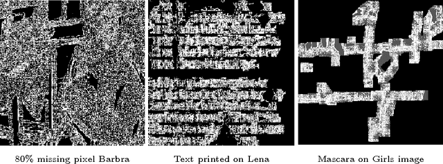 Figure 3 for Local Sparse Approximation for Image Restoration with Adaptive Block Size Selection