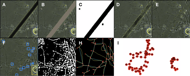 Figure 2 for DeepTEGINN: Deep Learning Based Tools to Extract Graphs from Images of Neural Networks