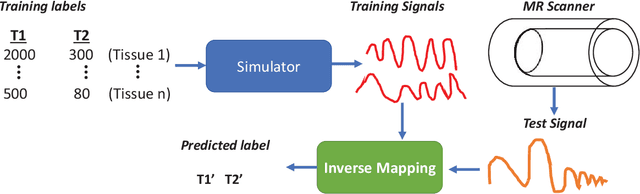Figure 1 for Magnetic Resonance Fingerprinting using Recurrent Neural Networks