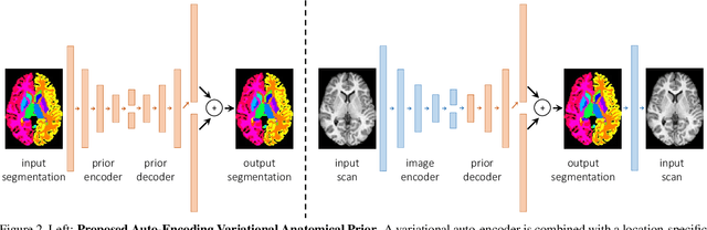 Figure 2 for Anatomical Priors in Convolutional Networks for Unsupervised Biomedical Segmentation