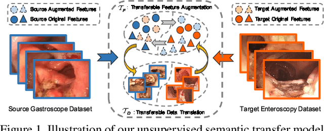 Figure 1 for What Can Be Transferred: Unsupervised Domain Adaptation for Endoscopic Lesions Segmentation