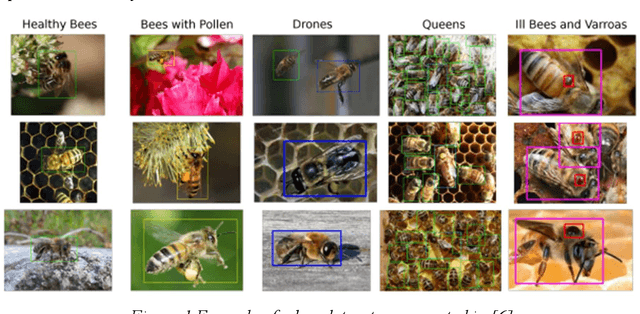 Figure 1 for Machine Learning and Computer Vision Techniques in Bee Monitoring Applications