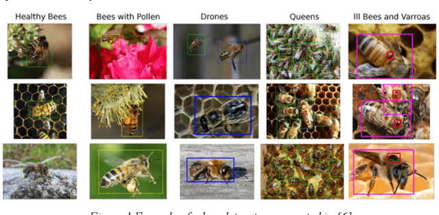 Figure 1 for Machine Learning and Computer Vision Techniques in Bee Monitoring Applications