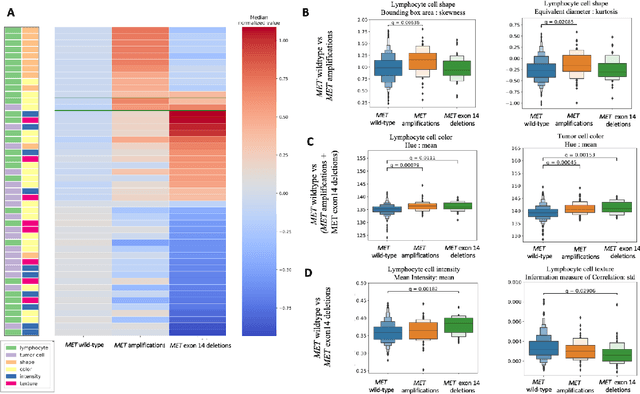 Figure 3 for Imaging-based histological features are predictive of MET alterations in Non-Small Cell Lung Cancer