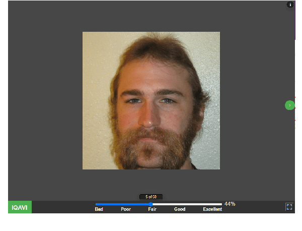 Figure 1 for Going the Extra Mile in Face Image Quality Assessment: A Novel Database and Model