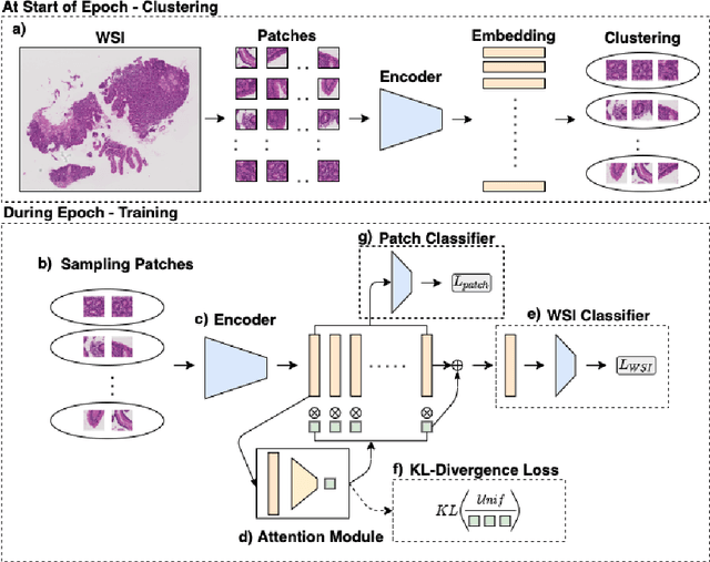 Figure 1 for Cluster-to-Conquer: A Framework for End-to-End Multi-Instance Learning for Whole Slide Image Classification