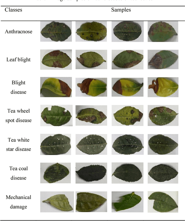 Figure 1 for Image Recognition of Tea Leaf Diseases Based on Convolutional Neural Network