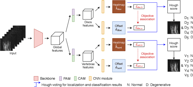 Figure 2 for SpineOne: A One-Stage Detection Framework for Degenerative Discs and Vertebrae