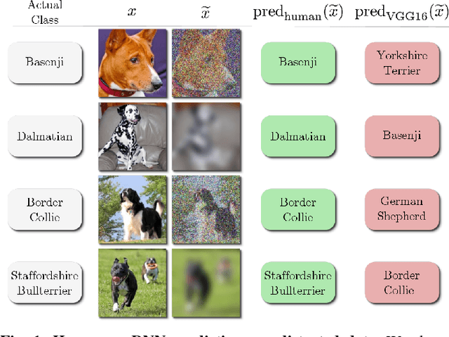 Figure 1 for A Study and Comparison of Human and Deep Learning Recognition Performance Under Visual Distortions