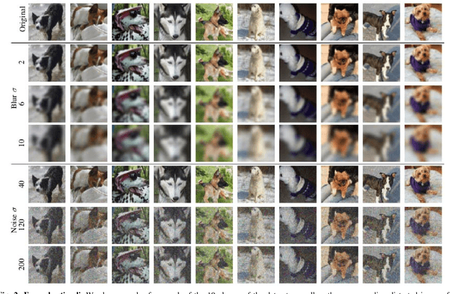 Figure 2 for A Study and Comparison of Human and Deep Learning Recognition Performance Under Visual Distortions