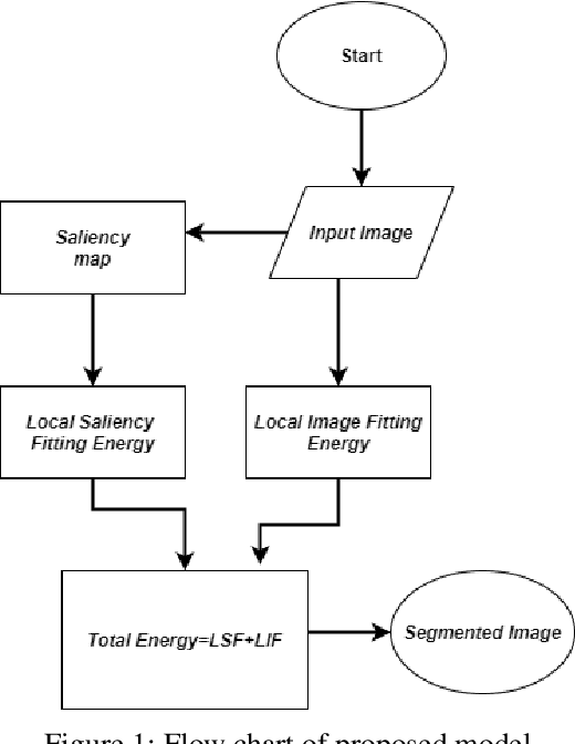 Figure 1 for Saliency-Driven Active Contour Model for Image Segmentation