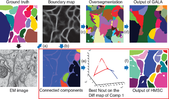 Figure 1 for Hierarchical Manifold Clustering on Diffusion Maps for Connectomics (MIT 18.S096 final project)