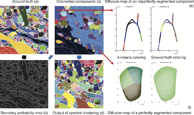 Figure 4 for Hierarchical Manifold Clustering on Diffusion Maps for Connectomics (MIT 18.S096 final project)