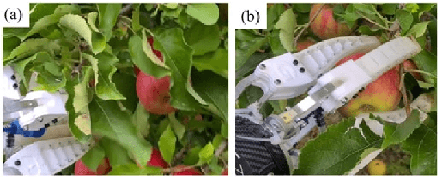 Figure 1 for Geometry-Aware Fruit Grasping Estimation for Robotic Harvesting in Orchards