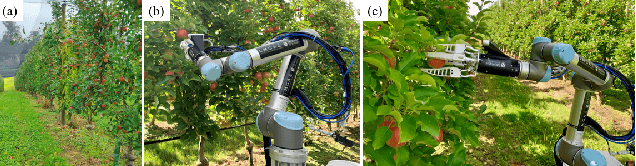 Figure 2 for Geometry-Aware Fruit Grasping Estimation for Robotic Harvesting in Orchards