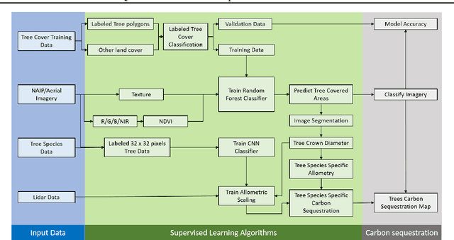 Figure 1 for Quantification of Carbon Sequestration in Urban Forests