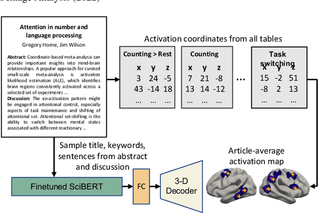 Figure 1 for A Transformer-based Neural Language Model that Synthesizes Brain Activation Maps from Free-Form Text Queries