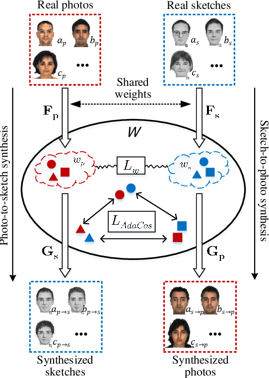Figure 1 for Face Photo-Sketch Recognition Using Bidirectional Collaborative Synthesis Network