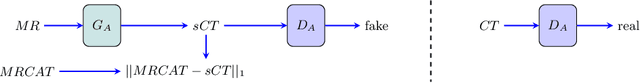 Figure 3 for Bridging the gap between paired and unpaired medical image translation