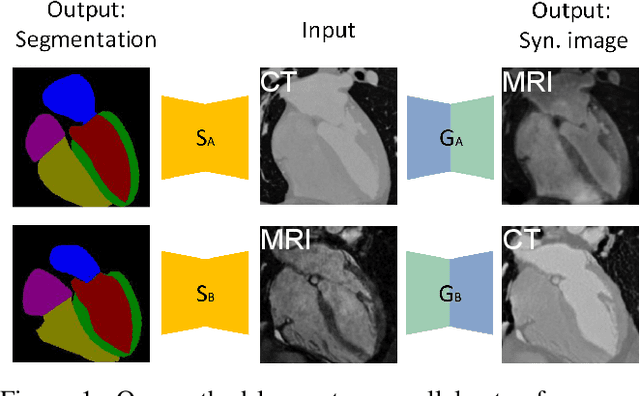 Figure 1 for Translating and Segmenting Multimodal Medical Volumes with Cycle- and Shape-Consistency Generative Adversarial Network