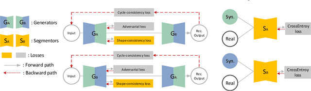 Figure 3 for Translating and Segmenting Multimodal Medical Volumes with Cycle- and Shape-Consistency Generative Adversarial Network