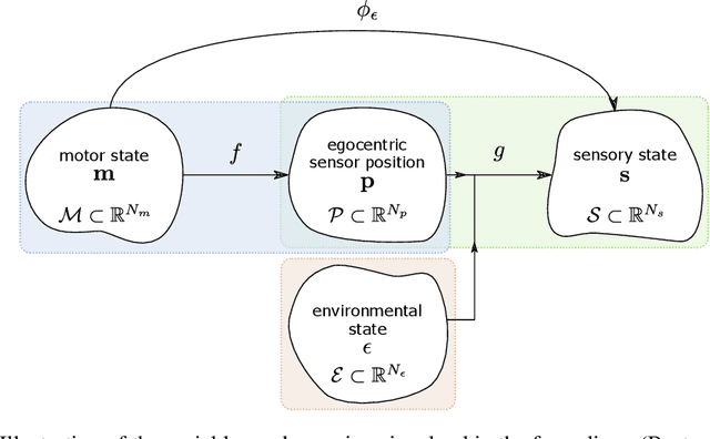 Figure 3 for Unsupervised Emergence of Egocentric Spatial Structure from Sensorimotor Prediction