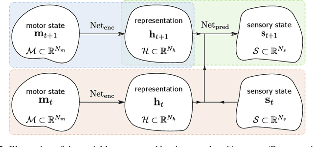 Figure 4 for Unsupervised Emergence of Egocentric Spatial Structure from Sensorimotor Prediction