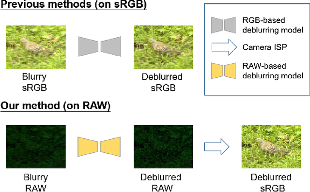 Figure 1 for Raw Image Deblurring