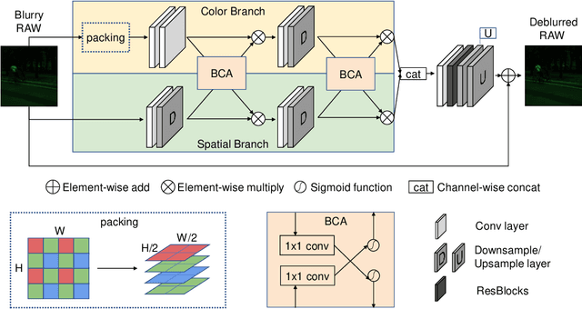 Figure 4 for Raw Image Deblurring