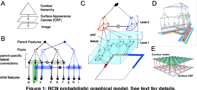 Figure 1 for Cortical Microcircuits from a Generative Vision Model