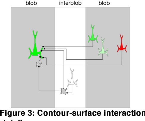 Figure 3 for Cortical Microcircuits from a Generative Vision Model