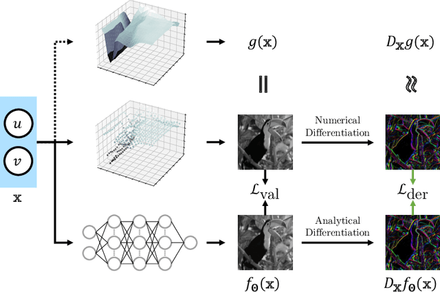 Figure 3 for Sobolev Training for Implicit Neural Representations with Approximated Image Derivatives