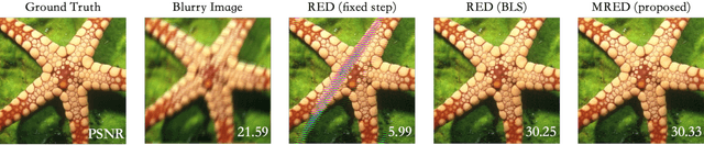 Figure 3 for Monotonically Convergent Regularization by Denoising