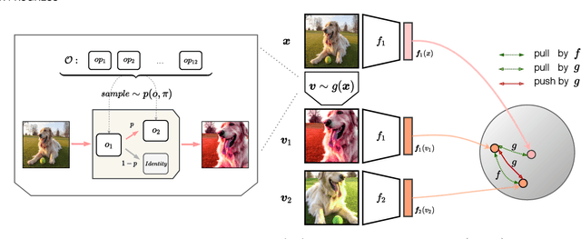 Figure 3 for Learning Self-Regularized Adversarial Views for Self-Supervised Vision Transformers