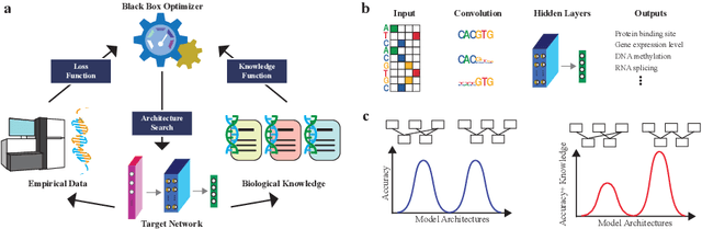 Figure 1 for Neural Architecture Search for Joint Optimization of Predictive Power and Biological Knowledge