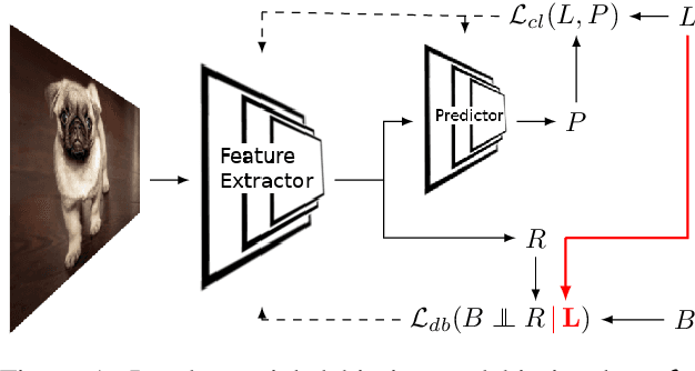 Figure 1 for Towards Learning an Unbiased Classifier from Biased Data via Conditional Adversarial Debiasing