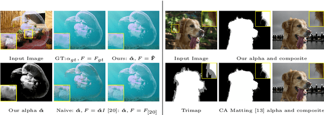 Figure 1 for $F$, $B$, Alpha Matting