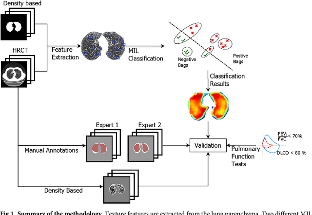 Figure 1 for Automatic Emphysema Detection using Weakly Labeled HRCT Lung Images