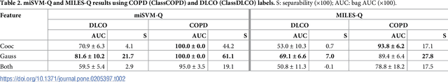 Figure 3 for Automatic Emphysema Detection using Weakly Labeled HRCT Lung Images